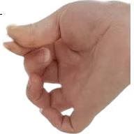 White Image 1