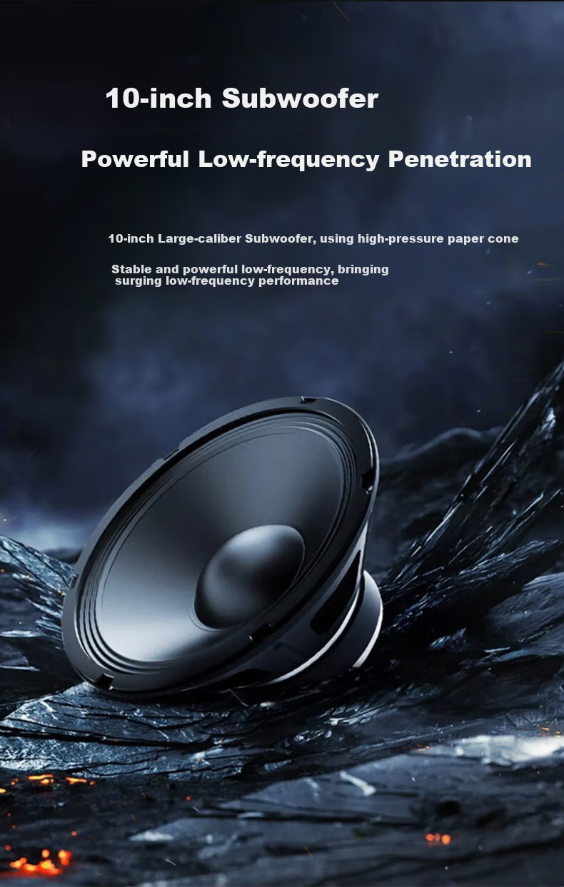 Weishu BM-1010 Conference Audio And Video Full-Frequency Professional Speaker, Single 10-Inch Multifunctional Performance-Level Indoor And Outdoor KTV Project Wall-Mounted And Floor-Standing Theater Passive Speaker 200W 3
