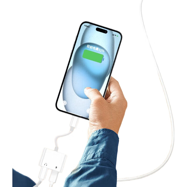 Переходник Type-C на Dual USB-C