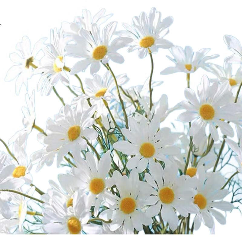 White Image 2