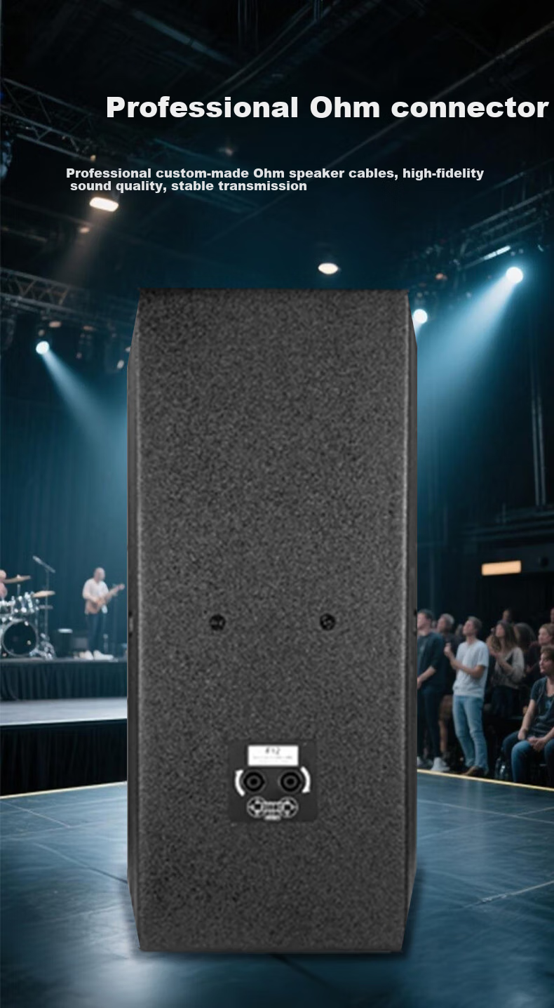 Weishu BM-1010 Conference Audio And Video Full-Frequency Professional Speaker, Single 10-Inch Multifunctional Performance-Level Indoor And Outdoor KTV Project Wall-Mounted And Floor-Standing Theater Passive Speaker 200W 6
