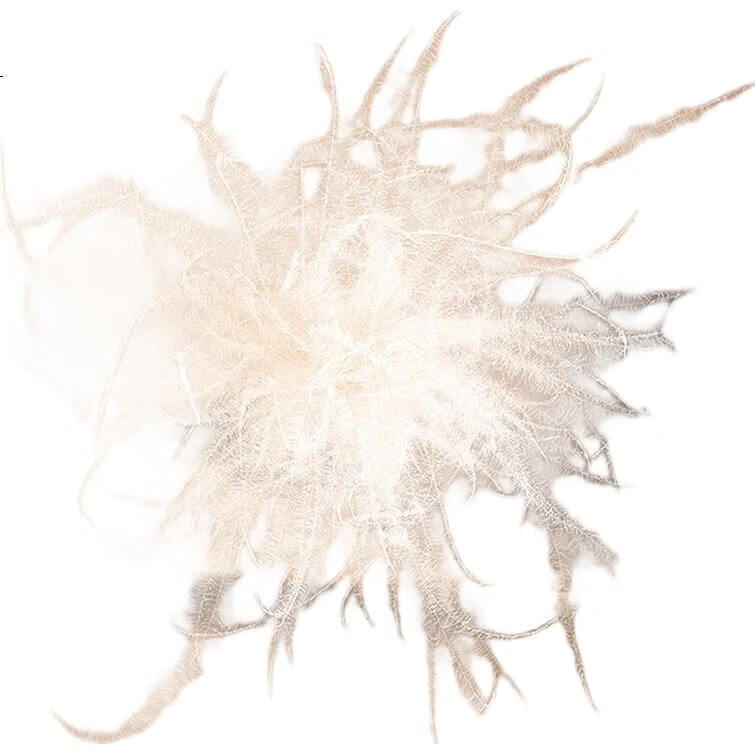 White Image 3