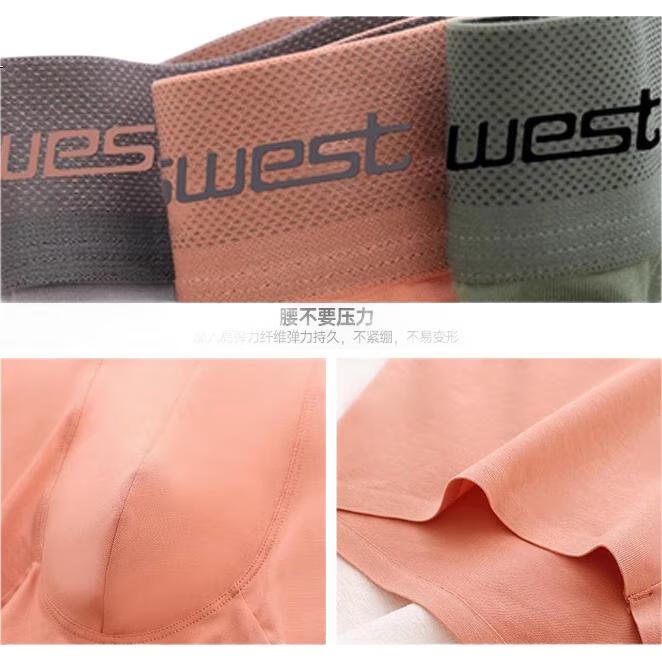 Мужские трусы-боксеры JEANSWEST, из чистого хлопка, на все сезоны, больших размеров, дышащие, свободные, для подростков, шорты, 4 шт.