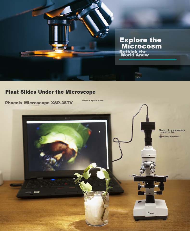 Phenix XSP-36 Binocular Biological Microscope, 1600x Magnification, Professional Scientific Experiment, Home Use, Livestock Breeding 6