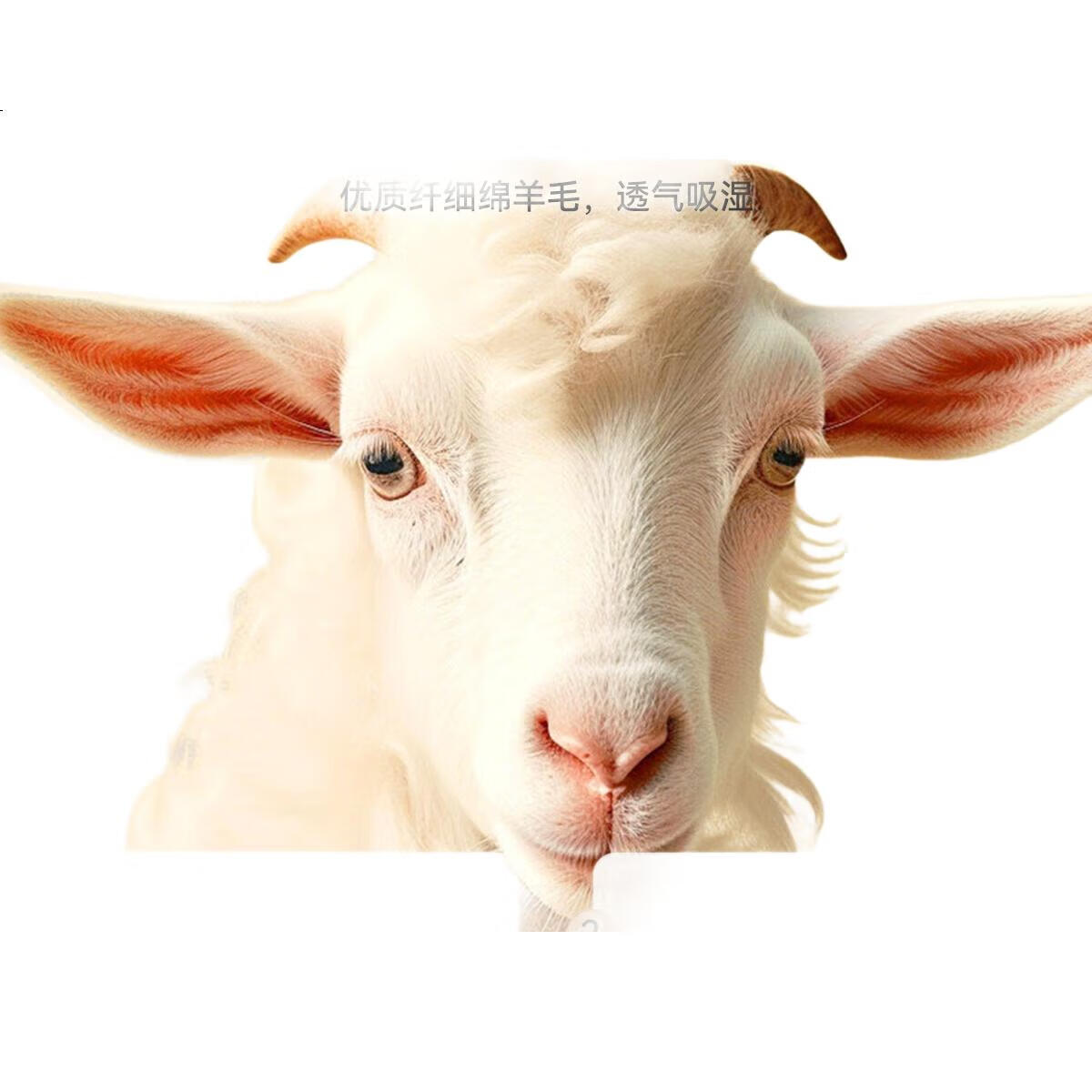 White Image 1