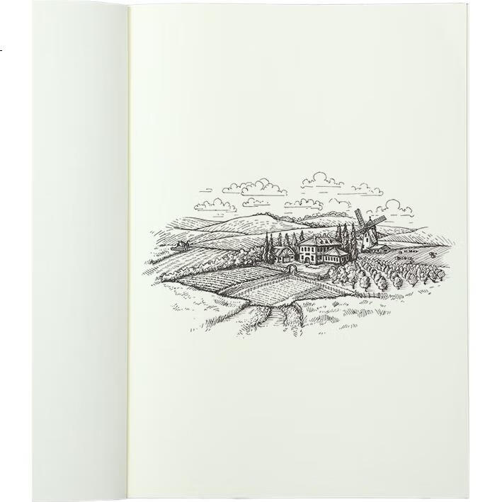 White Image 3