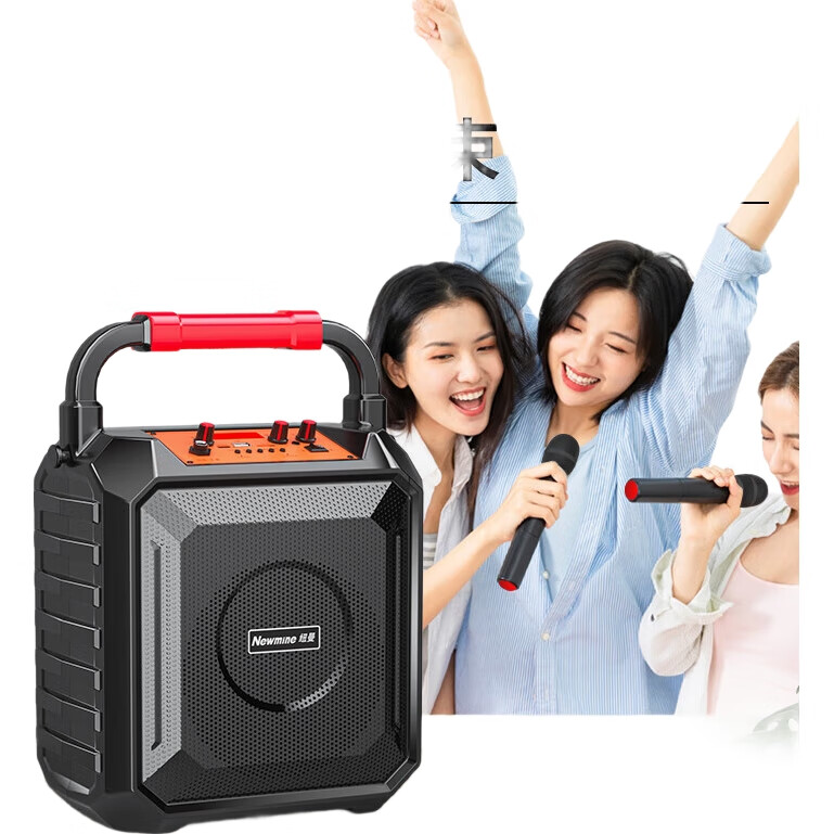 Портативная Bluetooth-колонка Newmine K220, 6.5 дюймов, 120 Вт, караоке, уличная, с микрофоном, Черный