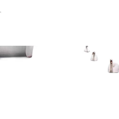 White Image 1
