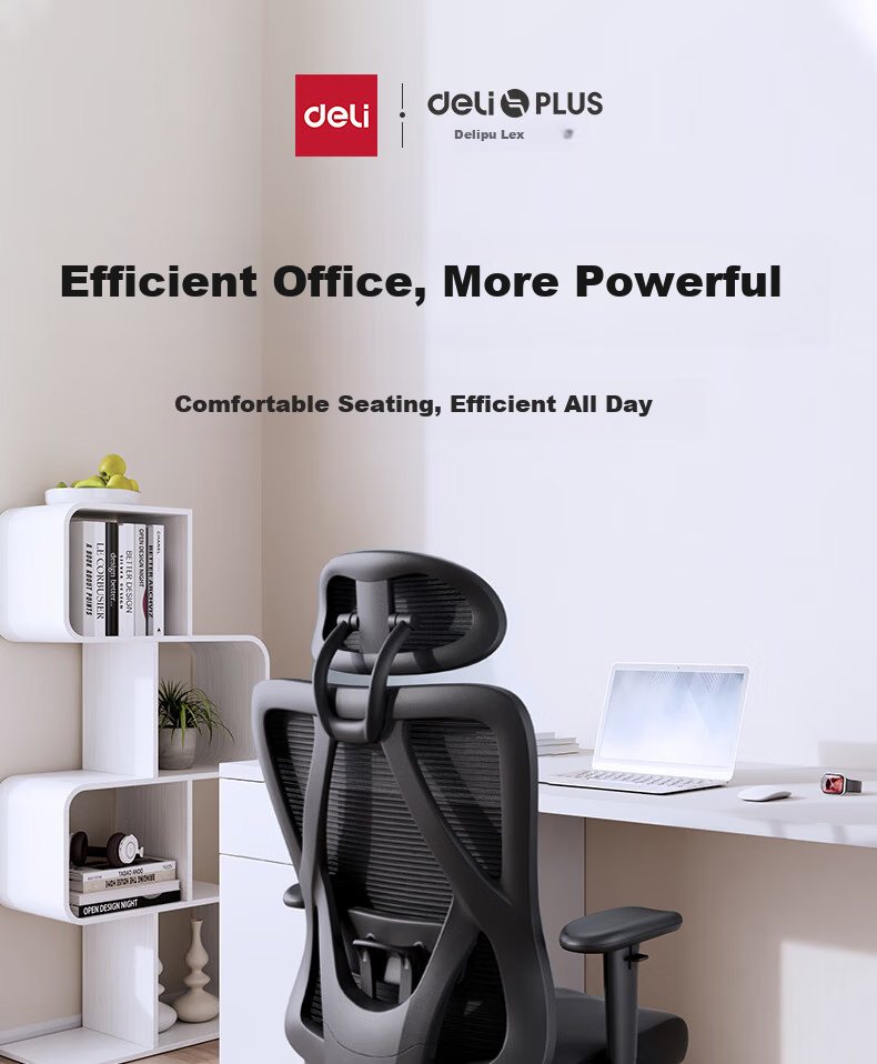 Deli KF221-J Ergonomic Chair, Height Adjustable Armrest Office Computer Chair, Alloy Feet with Footrest, Premium Versio 1