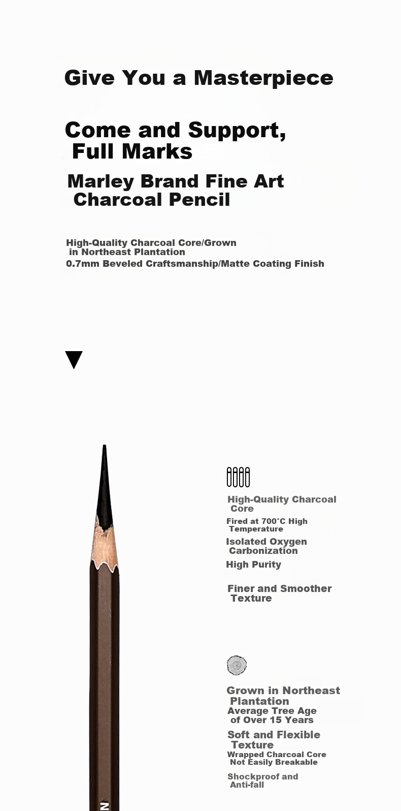 Marie's Charcoal Pencils Neutral Sketch Pencils 10-Pack Soft and Hard Carbon Pencils for Art Drawing, Student Beginner Exam Sketching Markers 5