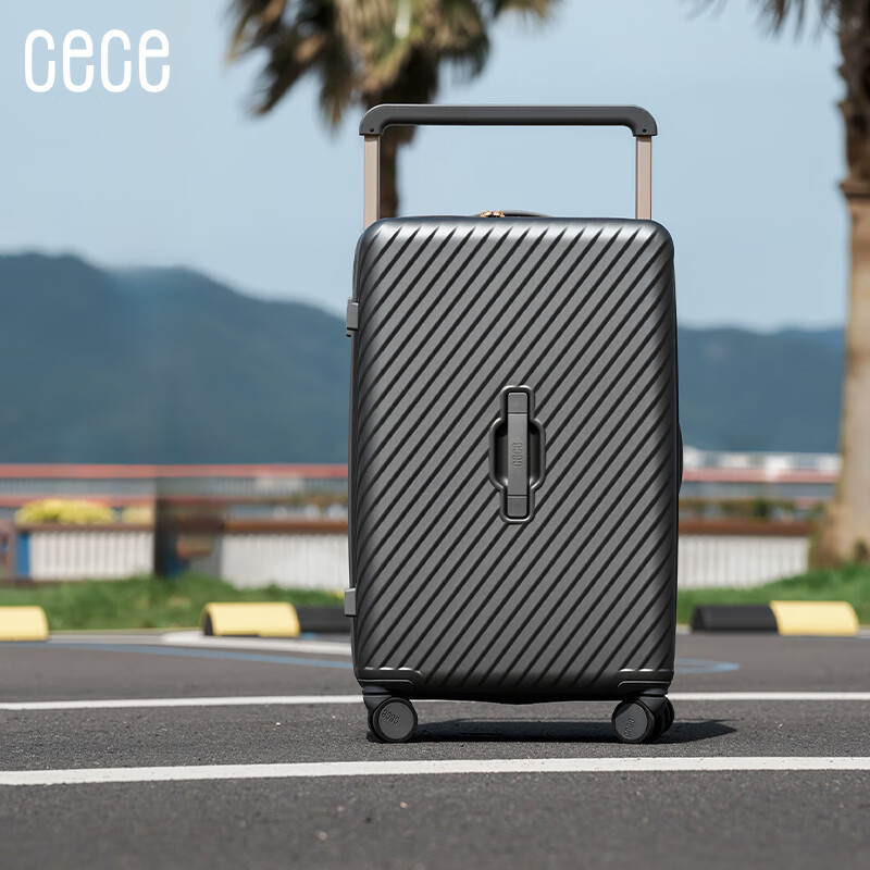 Cece Large Capacity Suitcase for Women And Men, Durable Trolley Luggage with Password Lock, Gray, 29 Inches - Check-In Case
