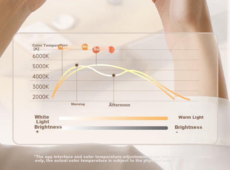 CDN [All-Inclusive Price] Ultra-Thin Full-Spectrum Eye-Protection LED Ceiling Light, Living Room Light, Bedroom Smart Lighting Fixture, 45W 19