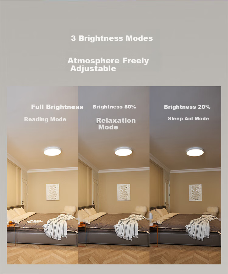 Paulmann P German Living Room Ceiling Light, Bedroom Eye Protection Anti-Blue Light Anti-Flicker Full Spectrum Lighting Fixture [Installation Included] 18