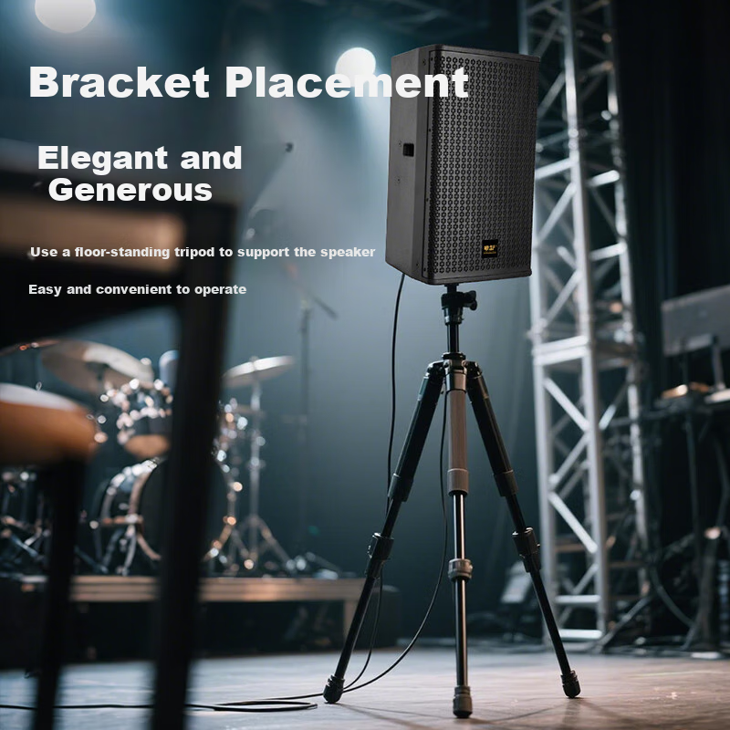 Weishu BM-1010 Conference Audio And Video Full-Frequency Professional Speaker, Single 10-Inch Multifunctional Performance-Level Indoor And Outdoor KTV Project Wall-Mounted And Floor-Standing Theater Passive Speaker 200W