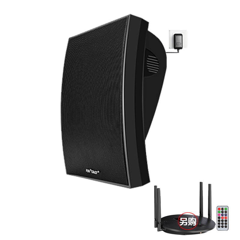 SAST U3 Wireless Wall-Mounted Speaker (with Transmitter)