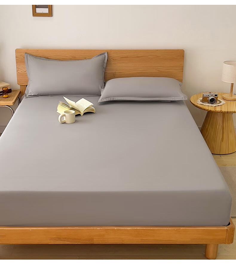 Hodo Class A Fitted Sheet Single Piece, Mattress Protector Cover, Anti-Dirt Non-Slip Full Coverage Bed Cover, Protective Cover, 1.8*2m, Guest Blue 2