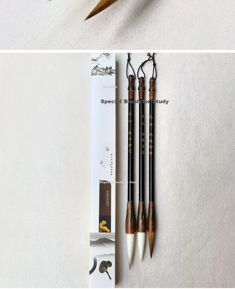 Fenshang Calligraphy Set with Four Treasures of The Study: Mixed, Sheep And Wolf Hair Brushes in Large, Medium And Small Sizes (Set of 3) Recommended for Students, Beginners, Calligraphy Classes, Calligraphy Enthusiasts And Training Programs Gift 5