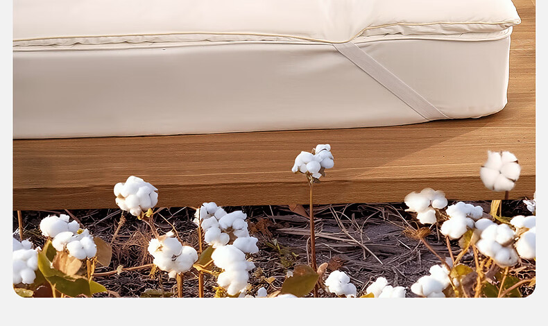 Shuixingjiafang Xinjiang Cotton Mattress, Class A Bedding, Student Dormitory Cotton Pad, Single Bed Mattress, 90×195×6cm 9