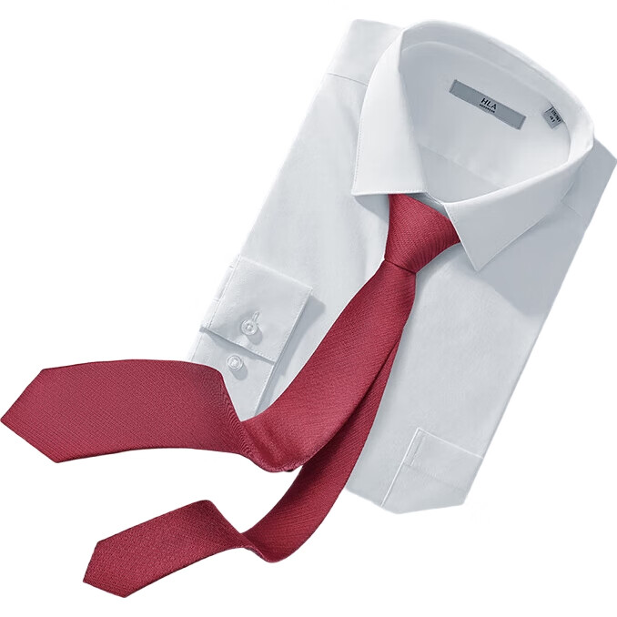 White Image 1
