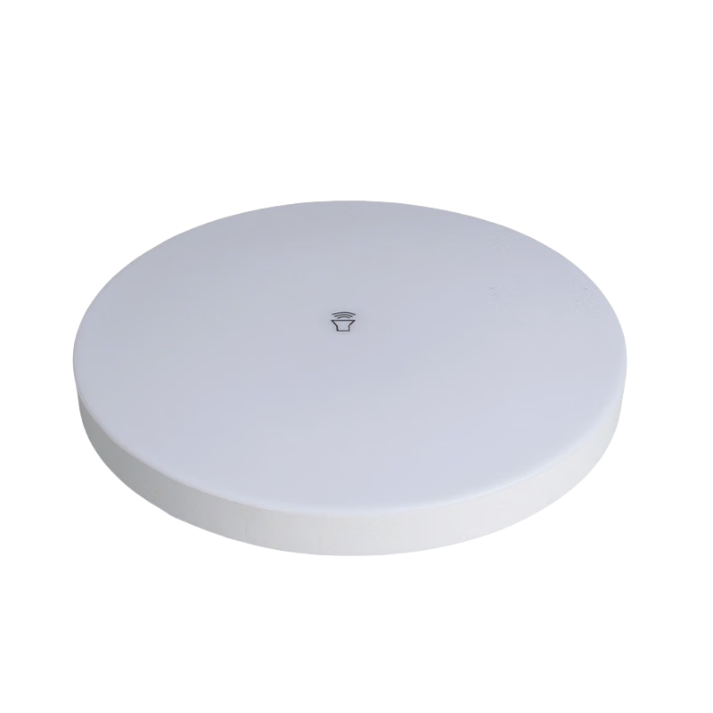 Pinjian Sound and Light Sensor Smart LED Waterproof Ultra-thin Round Ceiling Light 12W for Corridor Balcony Passageway, Next Day Delivery from Jingcang Warehouse