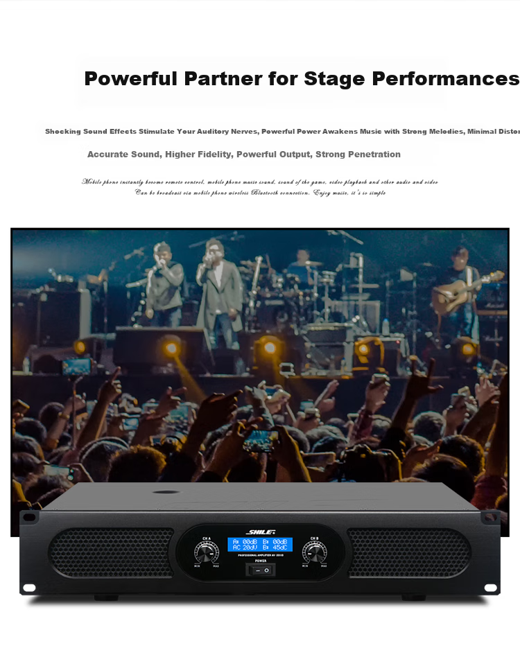 SHILE AV-2011D Pure Amplifier, Stage Performance Large-Scale Conference Multi-Functional Hall Lecture High-Power Amplifier System 12