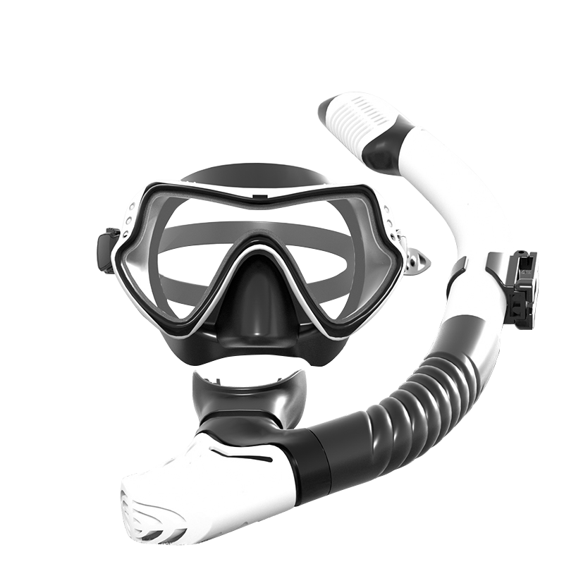 Peak Snorkeling Mask Professional Diving Goggles Full Dry Snorkel Equipment Adult Swimming Training Diving Black and White