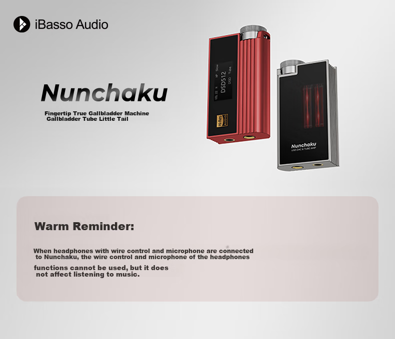 IBasso Nunchaku Balanced Decoding Headphone Amplifier, 4.4 Balanced Type-C, Replaceable Cable, HIFI Portable Android Computer Tube Small Tail Adapter Cable, Red 1