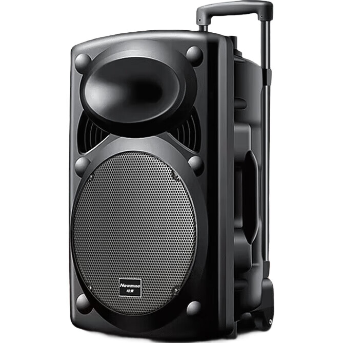 Портативная колонка Newmine B12, 12 дюймов, Bluetooth 5.0, с двумя микрофонами и пультом ДУ