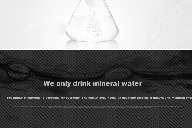 Everpure Coffee Shop/bubble Tea Shop/chinese Restaurant, 3.3 Liters/minute, 3300L Water Production Capacity, High-End Commercial Water Purifier, HIGH FLOW CSR TWIN-MC2 6