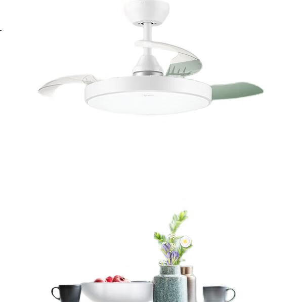 White Image 1