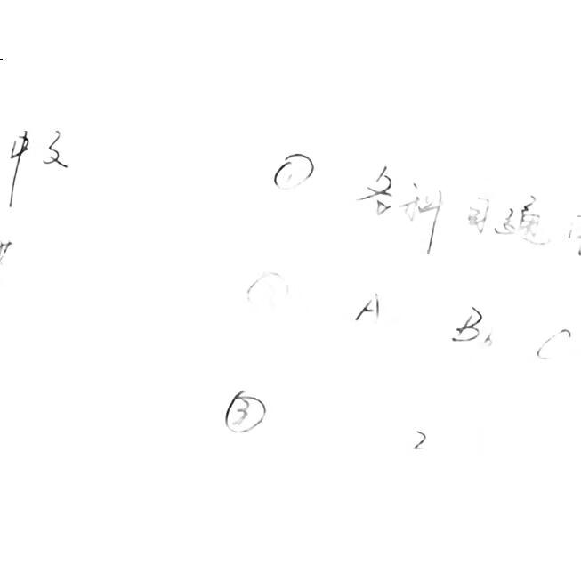 White Image 2