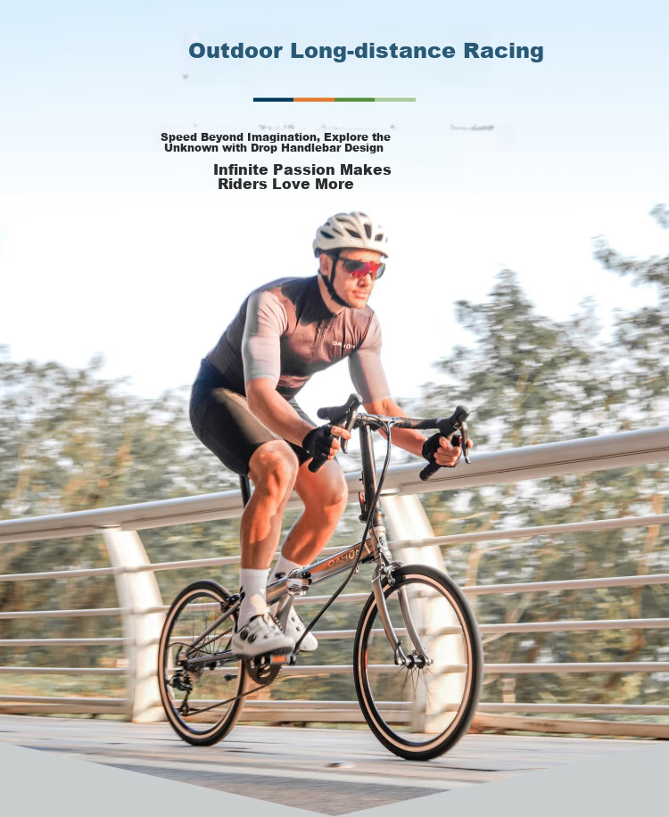 DAHON 451 Wheel Set, 18-Speed, Curved Handle Folding Road Bike, KDC083, Electroplated Silver 2