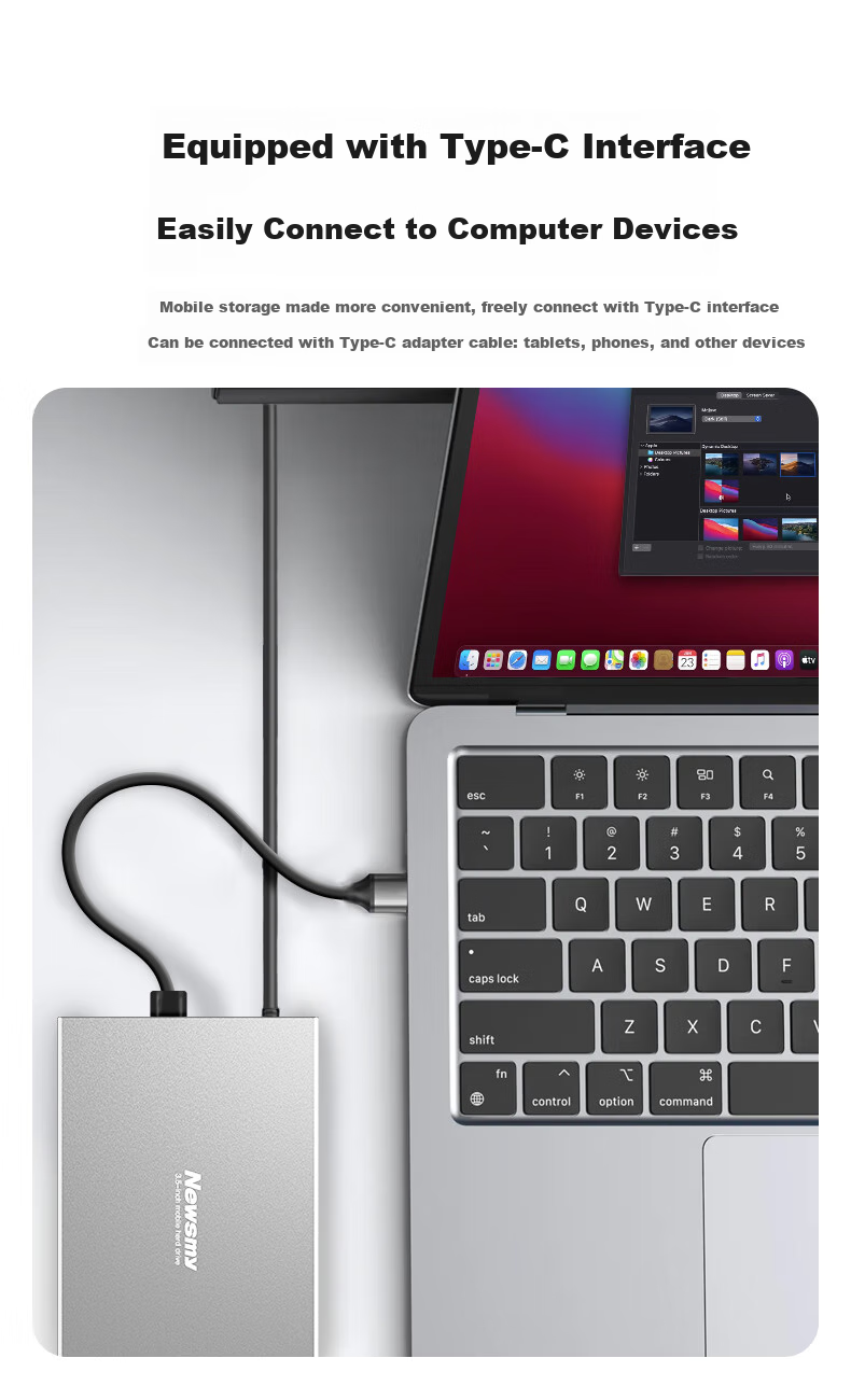 Newsmy 4TB Mechanical Hard Drive, 3.5-Inch Desktop Storage, Xingji Series Fashion Edition, Type-C USB3.1, Space Silver, Metal Shell, Large Capacity 5