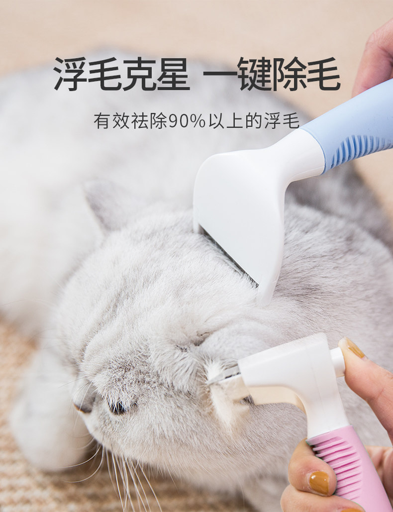 褪毛梳 (1).jpg