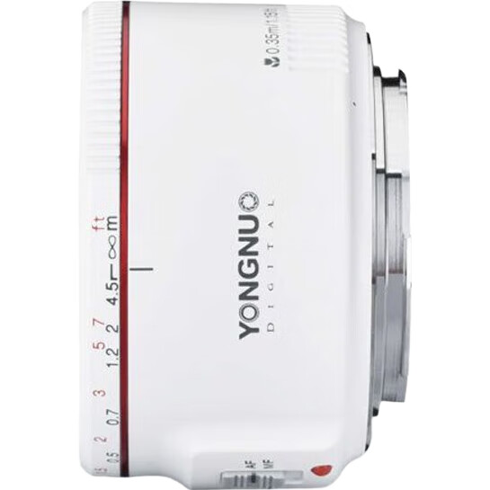 White Image 1