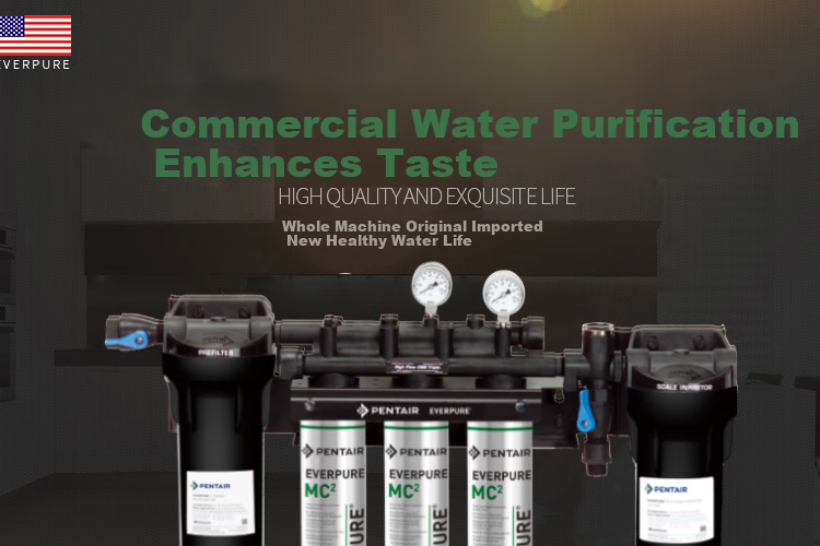 Everpure Coffee Shop/Milk Tea Shop/Chinese Restaurant Direct Drinking Filter Zero Wastewater 5.1L/min 5100L Water Production Commercial Water Purifier MC2 Triple High-End Model 2