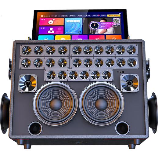 Аудиосистема SANSUI E93, портативная, домашняя караоке-система, Bluetooth, Wi-Fi, USB, HDMI, 2.1 канальная, с микрофонами