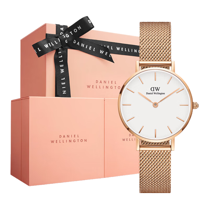 DanielWellington DW Ladies Watch, Light Luxury Gold-Plated Simple Quartz Wristwatch for Women, Birthday Gift for Girlfriend, DW219