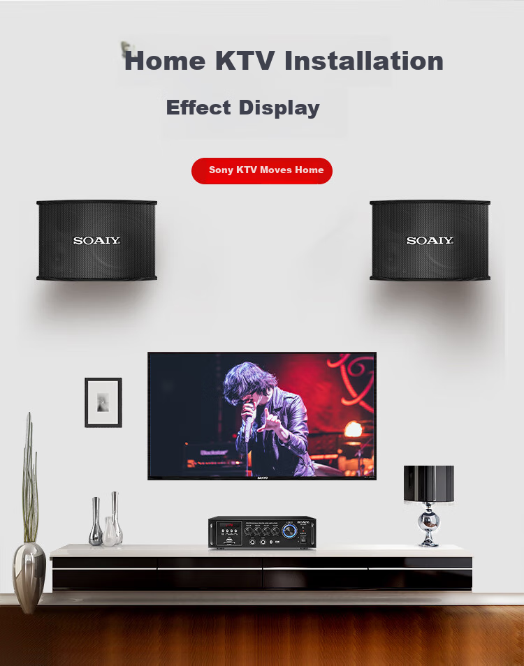 Soaiy 5.5-Inch KTV Sound System Set, Home Karaoke Bluetooth Amplifier, Home Theater Singing Equipment, Conference Room Commercial Store Training Professional Amplifier Speaker Combinatio 1