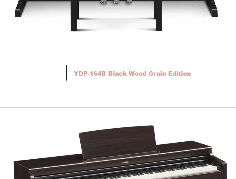 YAMAHA Upgraded YDP165R88-Key Weighted Hammer Adult Professional Exam-Grade Upright Digital Piano 8