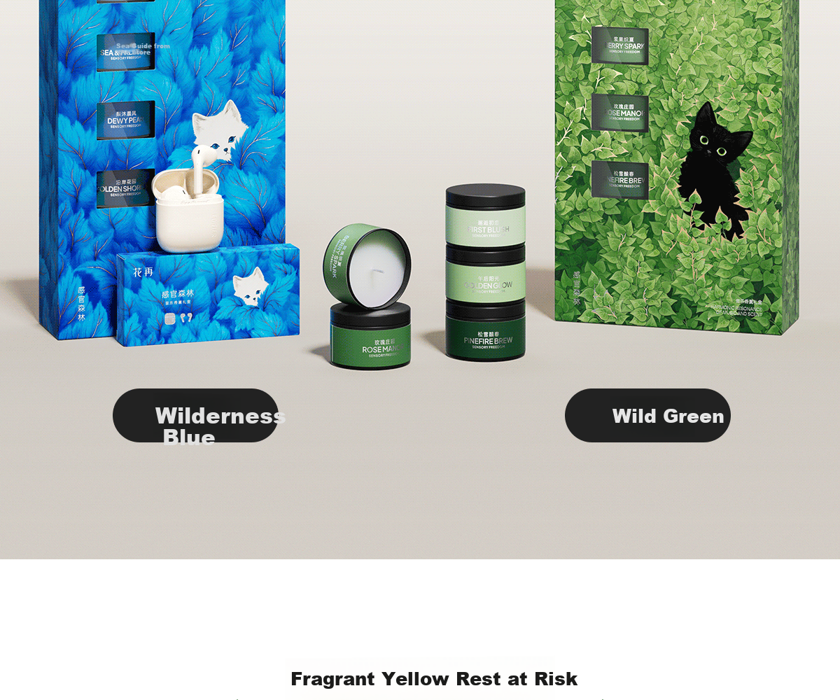 EDIFIER Sensory Forest Music Aromatherapy Gift Box Zero Air True Wireless Bluetooth Earphones Semi In-Ear Style Compatible with Apple, Huawei, Xiaomi Wilderness Blue Graduation Gift 5