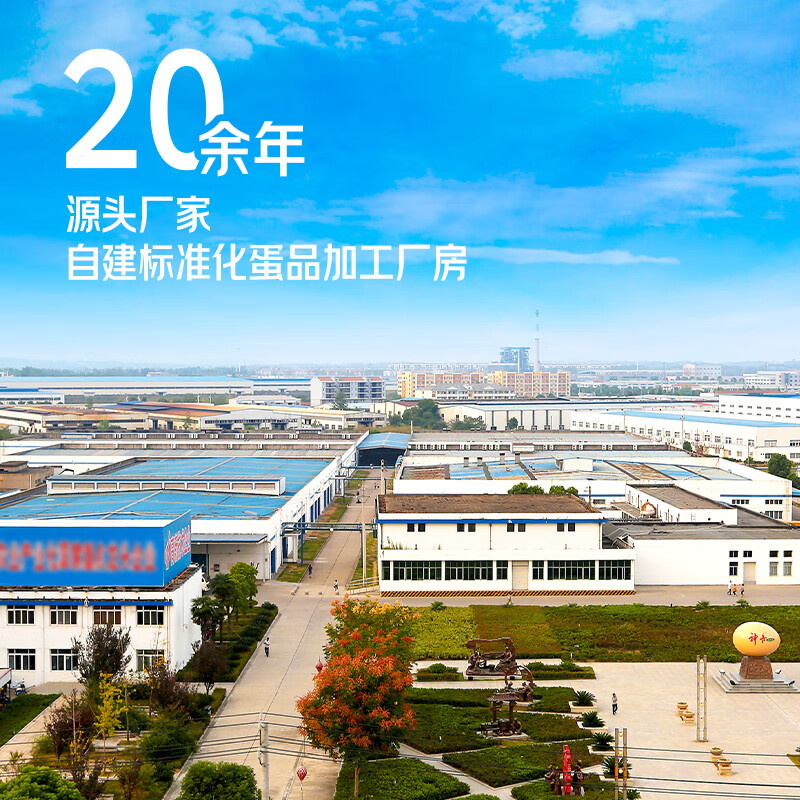 神丹 松花皮蛋 10枚共580g 家庭装 无铅工艺