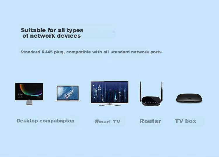 Haibeisi CAT8 Ethernet Cable, Category 8 Gaming Grade Pure Copper Dual Shielded High-Speed Network Patch Cord, 8-Core Twisted Pair, Ready-Made for Live Streaming, Home, PC, Broadband Connection 10