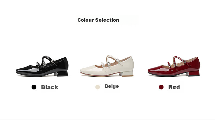 Dusto Mary Jane Shoes for Women, Spring 2025 New Fashion Casual Chunky Heel Ankle Strap Square Toe C0033 5