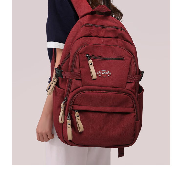 Aiqinghai Backpack for Women, Laptop Bag, Fashionable High-End Stylish Travel Business Casual Sports Lightweight Commuter Bag 2
