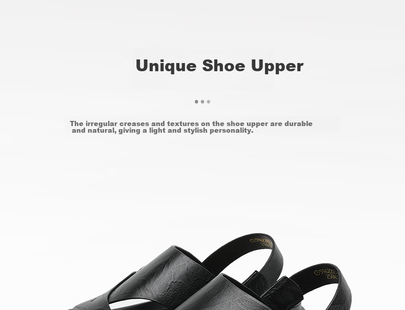 Goldlion Men's Shoes, Urban Casual Breathable Outdoor Sandals, Dual-Wear Leather Shoes, Beach Shoes, 59622032401A, Black, Size 41 3
