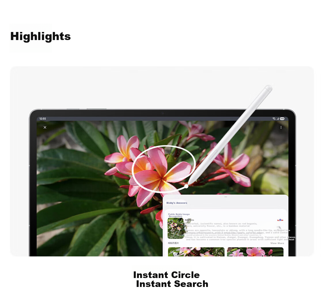 SAMSUNG [Subsidies] S10 FE+ 13.1-Inch 2025 Model Tablet/AI Smart Learning And Office 12GB+256GB Elegant Gray 5G 2
