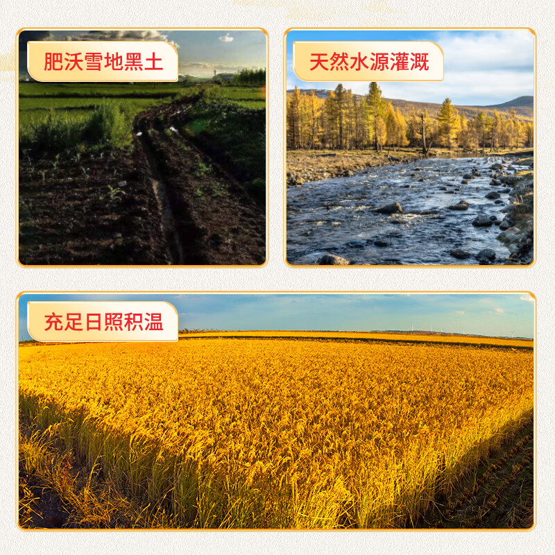 稻可道 东北珍珠米  东北大米10斤