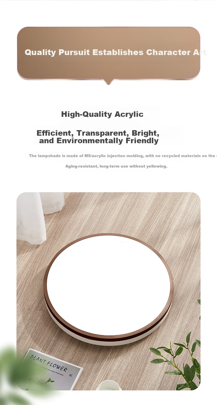 BULL Ceiling Light, Langchen Full Spectrum Bedroom Light, MX-C048A Stepless Dimming, 48W, Ra97 Color Rendering Index, with Display Indicator, Installation Included 13