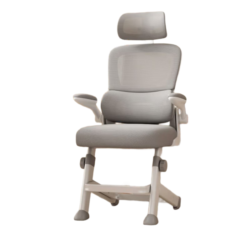 Churong Computer Chair, Study Chair, Ergonomic Chair, Student Writing Chair, Lumbar Support Adjustable Chair, Home Office Chair, Backrest Chair